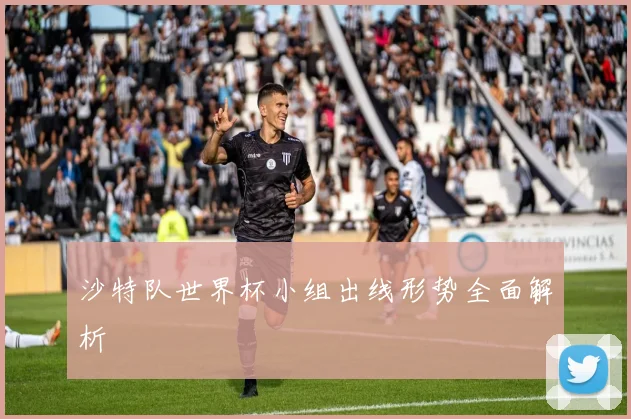 沙特队世界杯小组出线形势全面解析