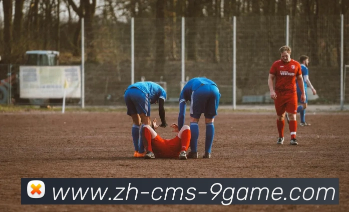 J9九游平台生态图